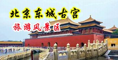 猛插嫩白的逼中国北京-东城古宫旅游风景区